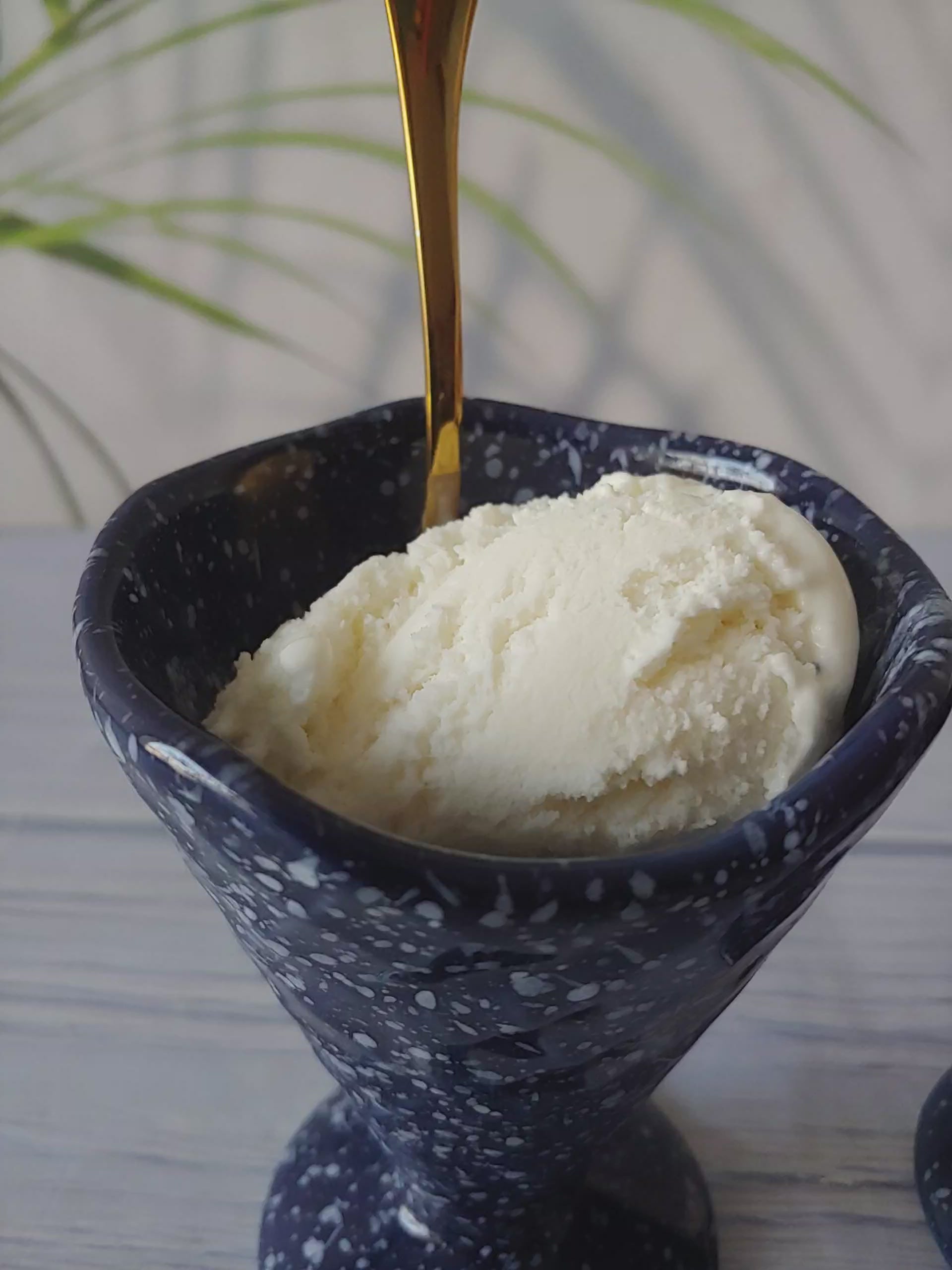Flavorful Fiesta  Ice Cream Serving Cups 100ml