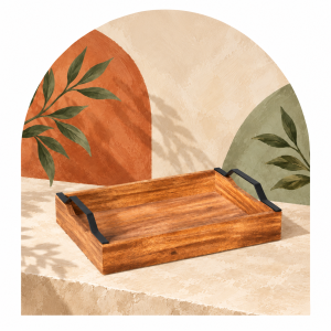 Leather Tray Set