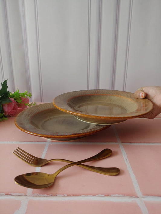 Little Buddy Dishy serving Pasta/ Dinner Ceramic Plate